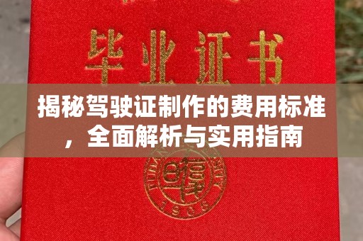 防城揭秘驾驶证制作的费用标准，全面解析与实用指南